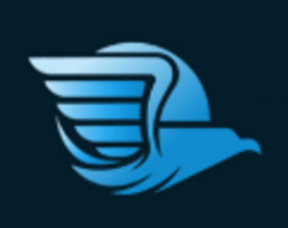 QBirds Aviation LLP